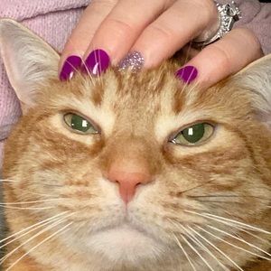 Meet your Posher, Kristin